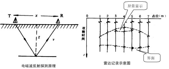 江西省丰城市白蚁雷达探测成果报告11.101168.png