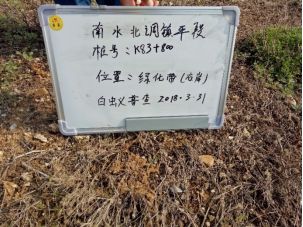 渠首分局白蚁普查825.png