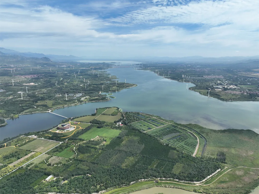 1767687295293175.jpg 图片-1.jpg